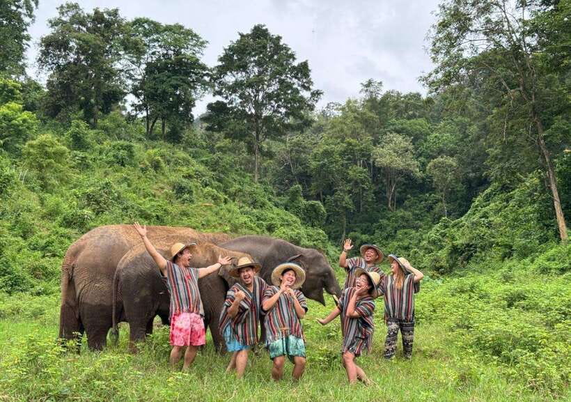 Chiang Mai | TeeTee Elephant Home Elephant Care Half-Day - Key points to know before booking