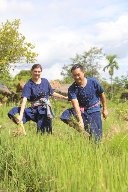 Chiang Mai: Thai Buffalo and Rice Planting Experience - Quick points before you book