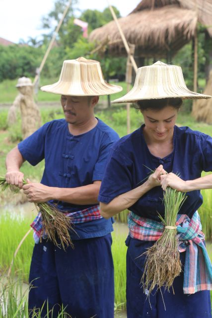 Chiang Mai: Thai Buffalo and Rice Planting Experience - What to wear and bring