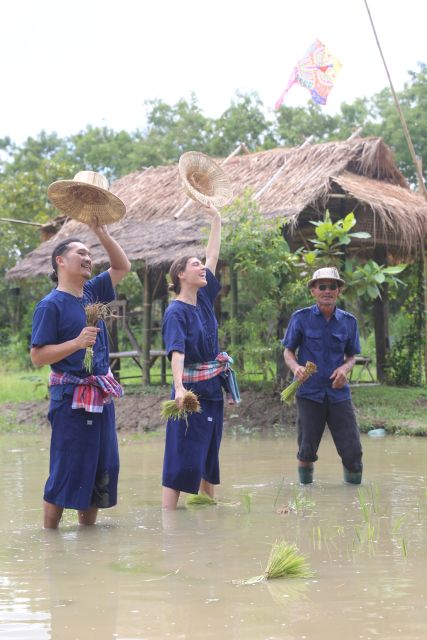 Chiang Mai: Thai Buffalo and Rice Planting Experience - Is $57 a fair price in Chiang Mai?