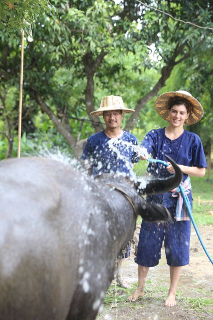 Chiang Mai: Thai Buffalo and Rice Planting Experience - Arriving at Hang Tueng farm by red taxi