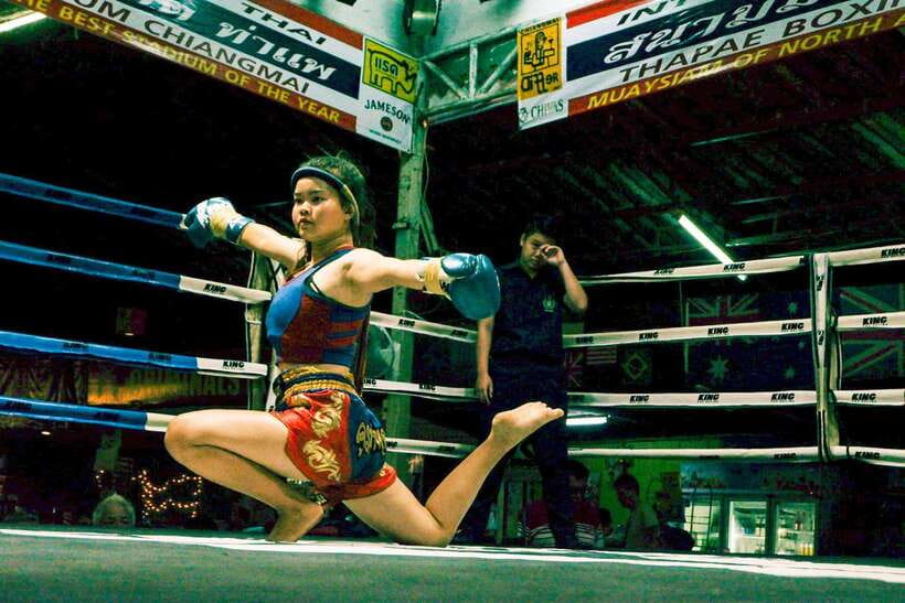 Chiang Mai: Thaphae Boxing Stadium Muay Thai - Should you book Thaphae Boxing Stadium?