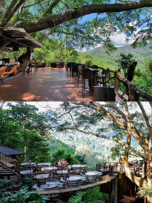 Chiang Mai: The Giant Café & Mae Kampong Village Day Trip - Key points at a glance