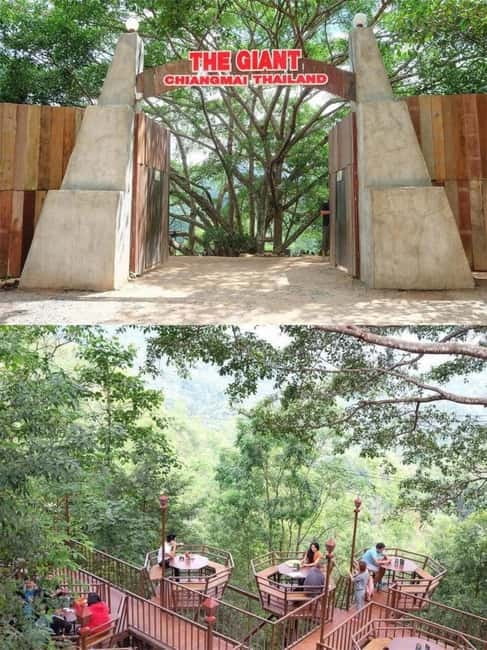 Chiang Mai: The Giant Café & Mae Kampong Village Day Trip - Lunch: simple, local, and not included