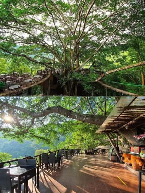 Chiang Mai: The Giant Café & Mae Kampong Village Day Trip - The road into the northern hills