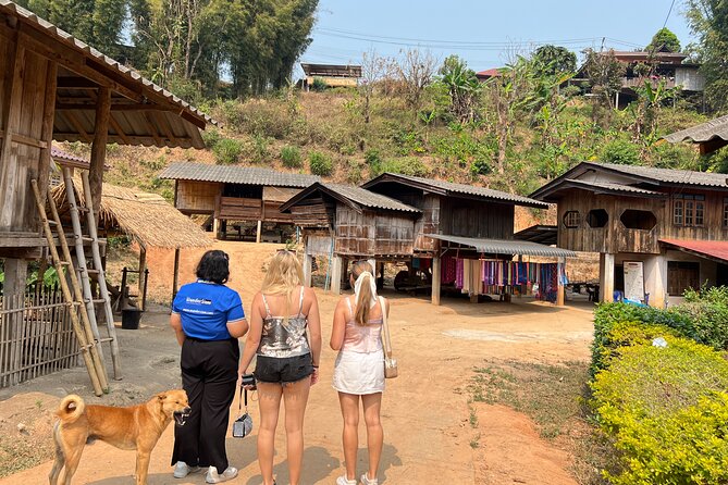 Chiang Mai to Doi Inthanon Full Day Shared Tour - Starting Early From Chiang Mai