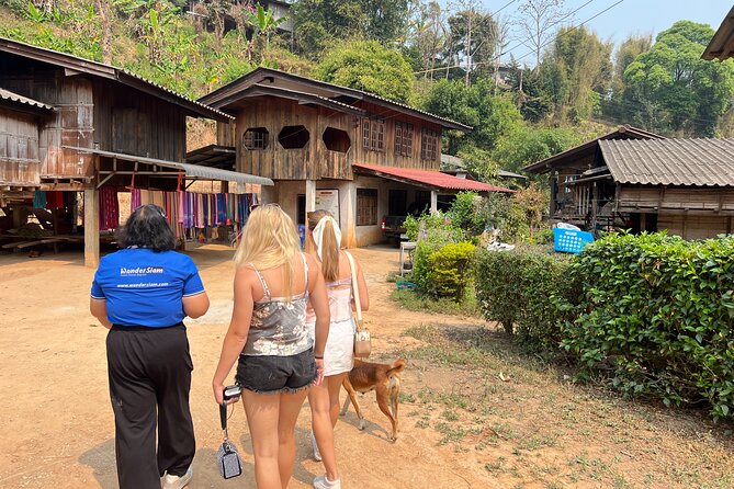 Chiang Mai to Doi Inthanon Full Day Shared Tour - The Twin Royal Pagodas and Their Flower Gardens