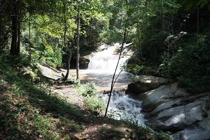 Chiang Mai Trekking Tour :Full day (no rafting) - Meeting rescued elephants at Elephant Pride Sanctuary