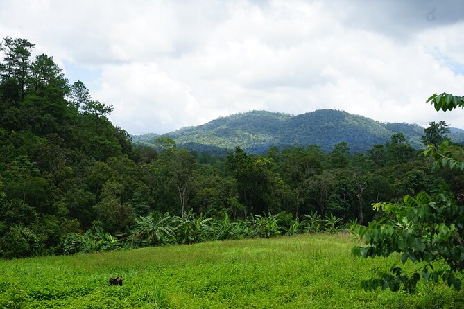 Chiang Mai Trekking Tour :Full day (no rafting) - Cooling off beneath a waterfall