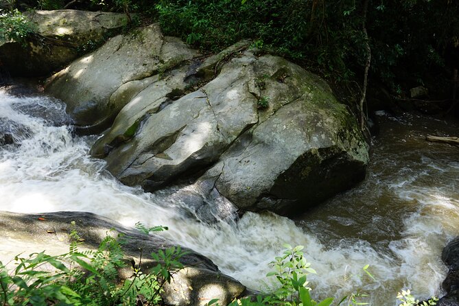 Chiang Mai Trekking Tour :Full day (no rafting) - What the $64.53 price really covers