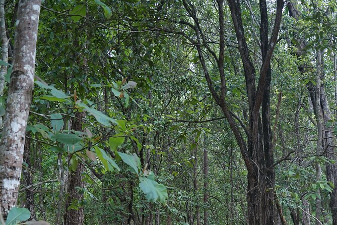 Chiang Mai Trekking Tour :Full day (no rafting) - How demanding is the full day?