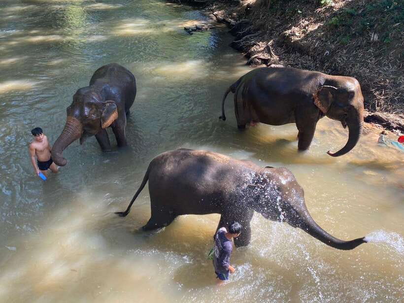 Chiang Mai Untouched Elephant: Nature Walk & Waterfall Trek - Leaving Chiang Mai for the mahout village