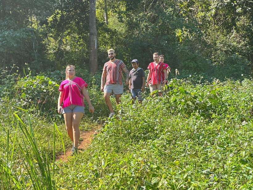 Chiang Mai Untouched Elephant: Nature Walk & Waterfall Trek - Mae Wang Waterfall for the final hour