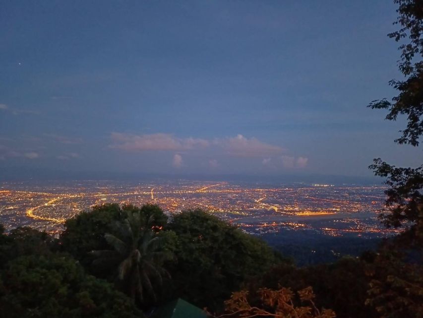 Chiang Mai: Wat Pha Lat & Wat Phra That Doi Suthep Tour - Who should book this temple tour?