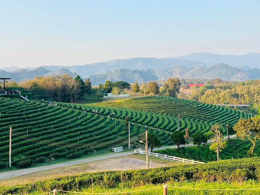 Chiang Rai: Discover 7 Must-See Spots & Lunch Included - The House of Opium adds context, but not everyone will want it