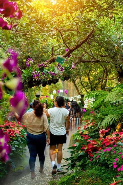Chiang Rai: Excursion White, Blue,Red Temples & Lalitta Café - Key points at a glance