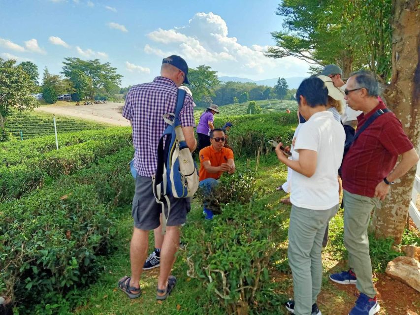 Chiang Rai Guide: Popular 7places 3Colors ,Golden Triangle - Price, extra fees, and what you receive