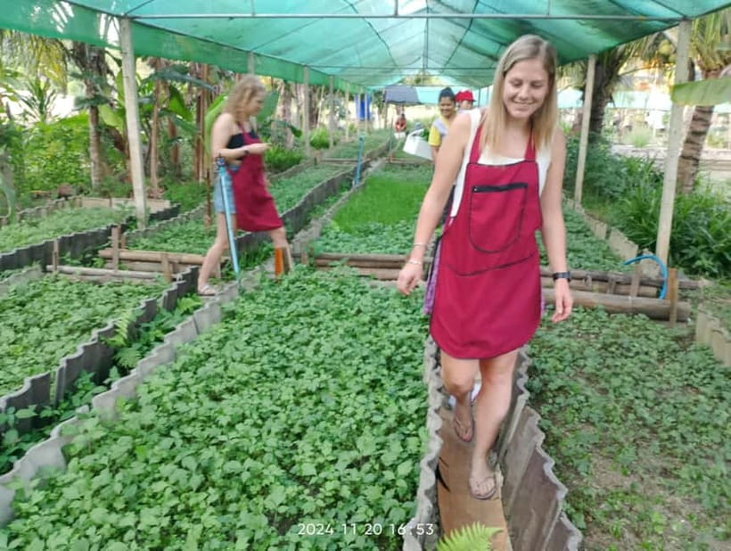 Chiang Rai:Lanna Home Cooking Class at Give Green Farm House - The meal at the end