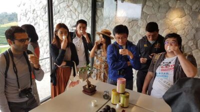 Chiang Rai Must-See Tour – 7 Icons, Lunch & Small Group(9pp)