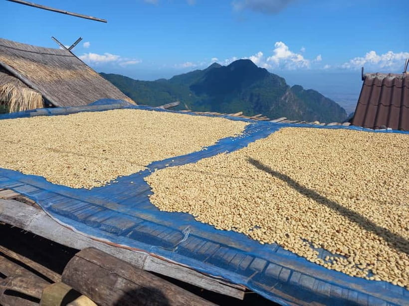 Chiang Rai: Northern Thailand Tour with Golden Triangle - Pha Hee and Pha Mi: coffee, cool air, and village views