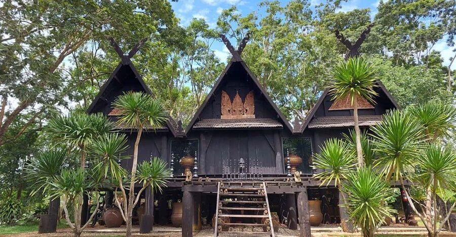 Chiang Rai: Top Temples & Signature Attractions ~Free Buffet - Tea plantation: a change of pace