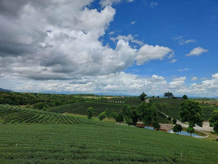 Chiang Rai: Top Temples & Signature Attractions ~Free Buffet - Lunch, transport, and the rhythm of the day
