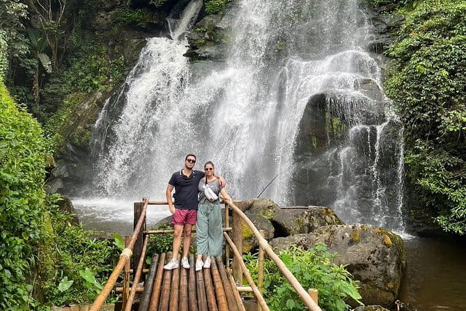 ChiangMai 1DayTour:Elephant Sanctuary,king&queen pagoda,waterfall - Key points to know before booking