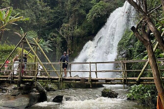 ChiangMai 1DayTour:Elephant Sanctuary,king&queen pagoda,waterfall - How the $123.49 price holds up