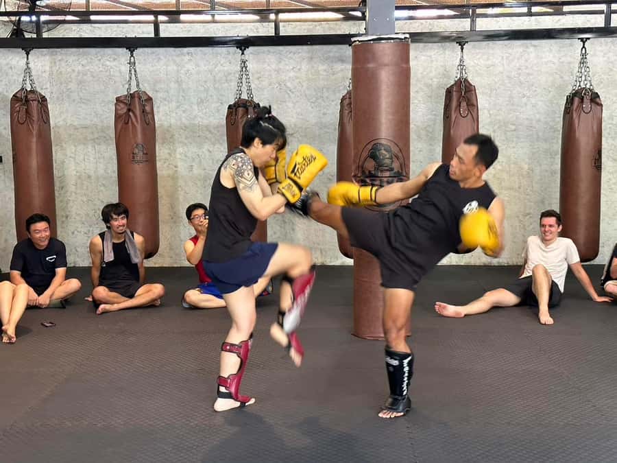 Chiangmai : Muay Thai Training academy - Pad work brings the lesson together