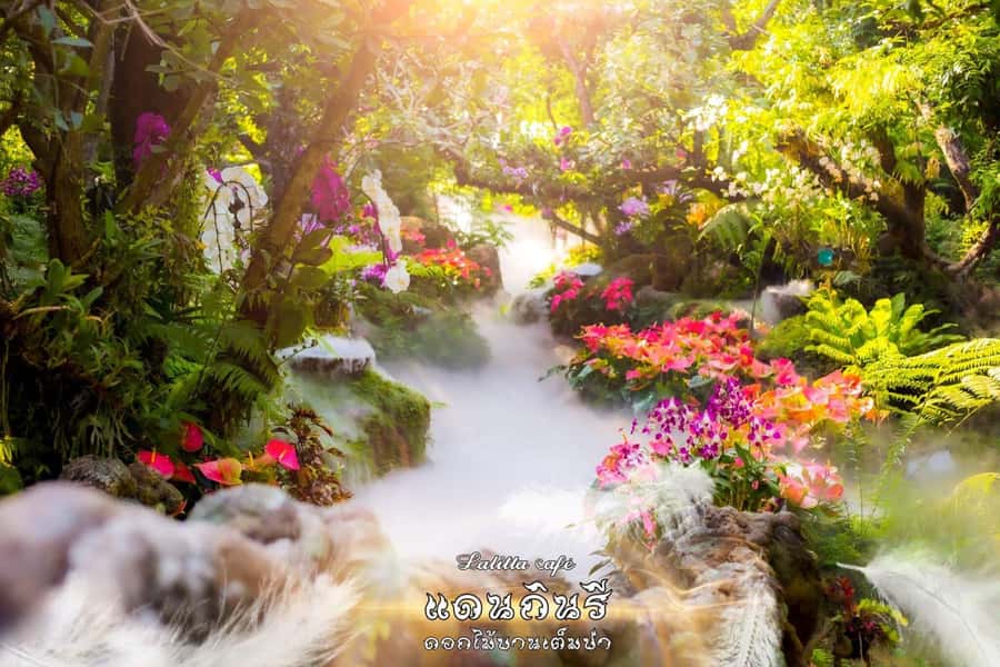Chiangmai to Chiangrai: 3 Temples, Hot Springs& Lalitta Cafe - The essential details at a glance