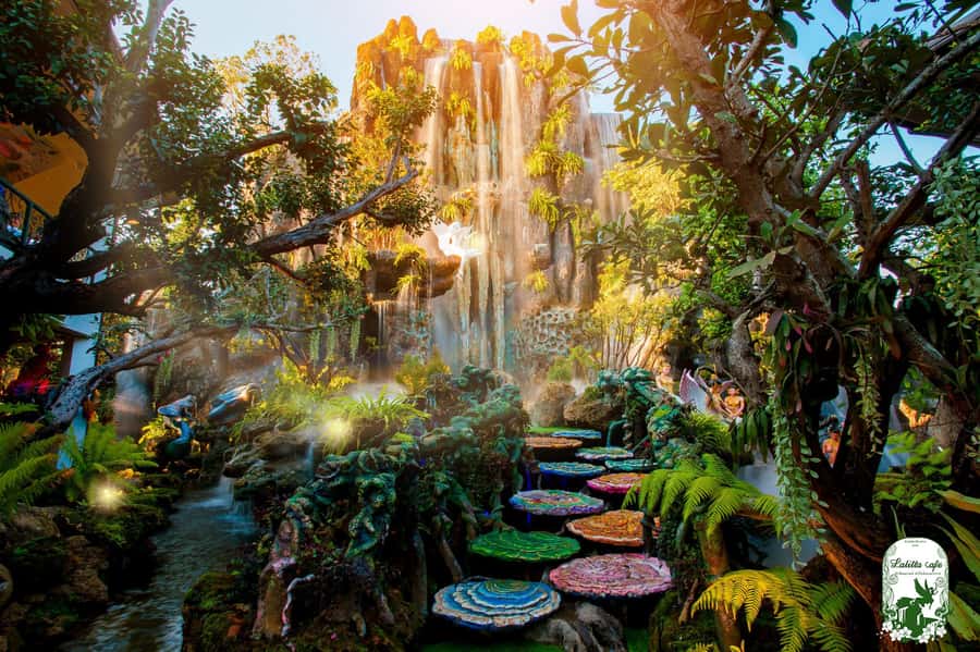 Chiangmai to Chiangrai: 3 Temples, Hot Springs& Lalitta Cafe - Mae Khachan Hot Springs: a short stop, not a spa day