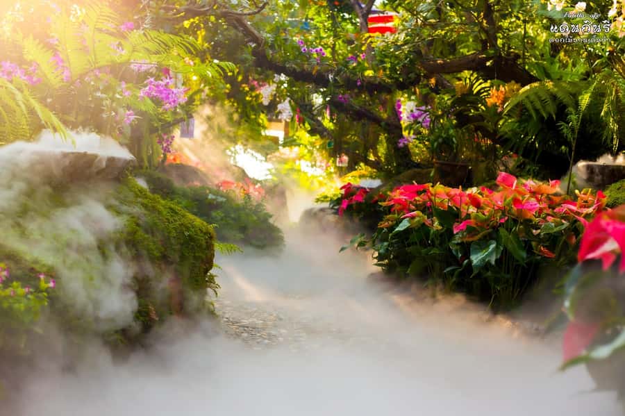 Chiangmai to Chiangrai: 3 Temples, Hot Springs& Lalitta Cafe - Wat Rong Suea Ten, the Blue Temple