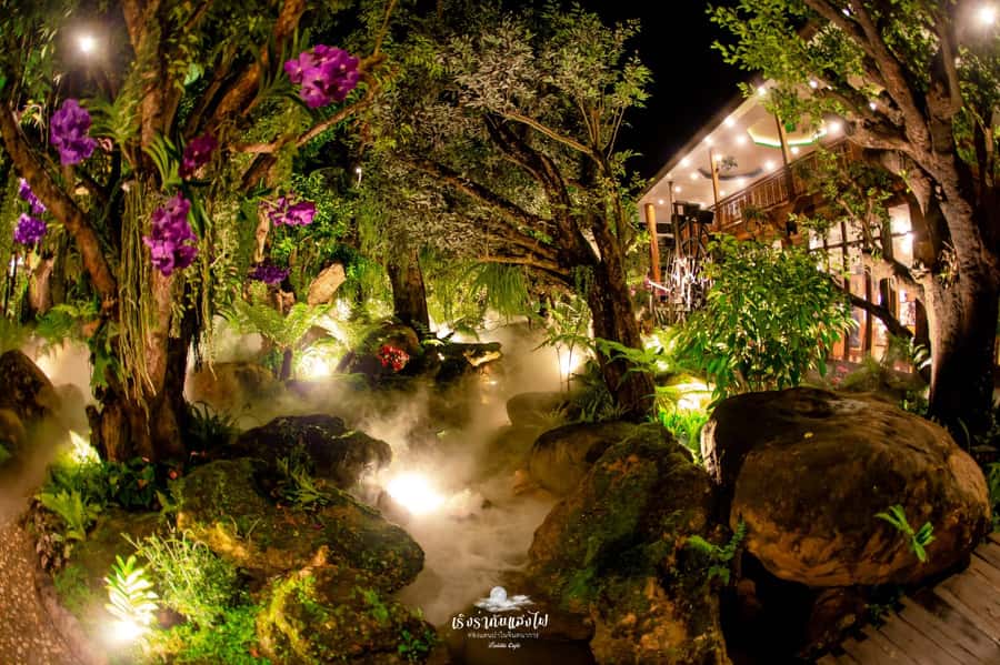 Chiangmai to Chiangrai: 3 Temples, Hot Springs& Lalitta Cafe - Lunch, guide service, and the feel of the day