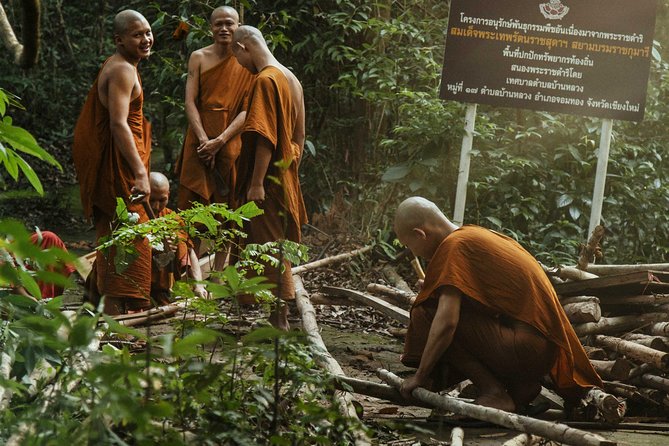 City Escape: Doi Inthanon & Karen Village Private Day Trip - Why this private mountain day works well