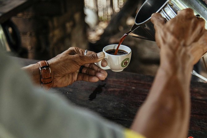 City Escape: Doi Inthanon & Karen Village Private Day Trip - What the guide adds to a long day