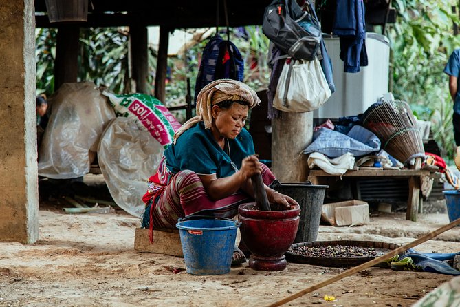 City Escape: Doi Inthanon & Karen Village Private Day Trip - How the price compares with the experience