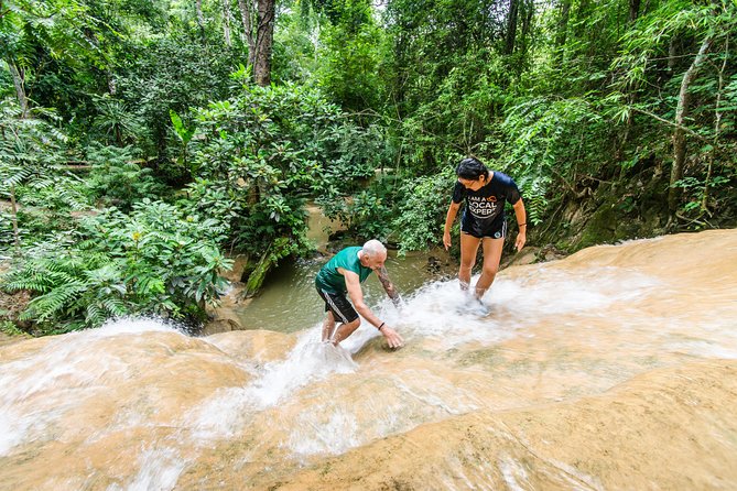 Climb Sticky Waterfall Like a Spiderman - Key points at a glance