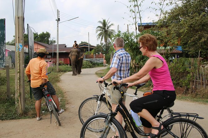 Colors of Ayutthaya Full-Day Bike Tour - Wat Chaiwatthanaram beside the Chao Phraya