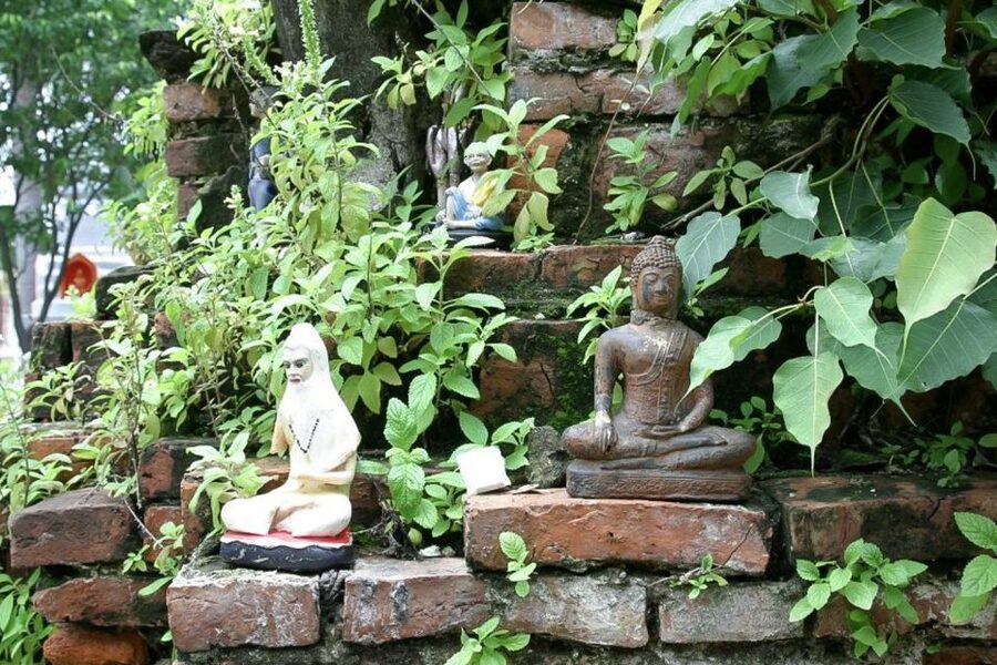 Colors Of Bangkok: 4-Hour Small Group Bike Tour - Why this bike tour shows a different Bangkok