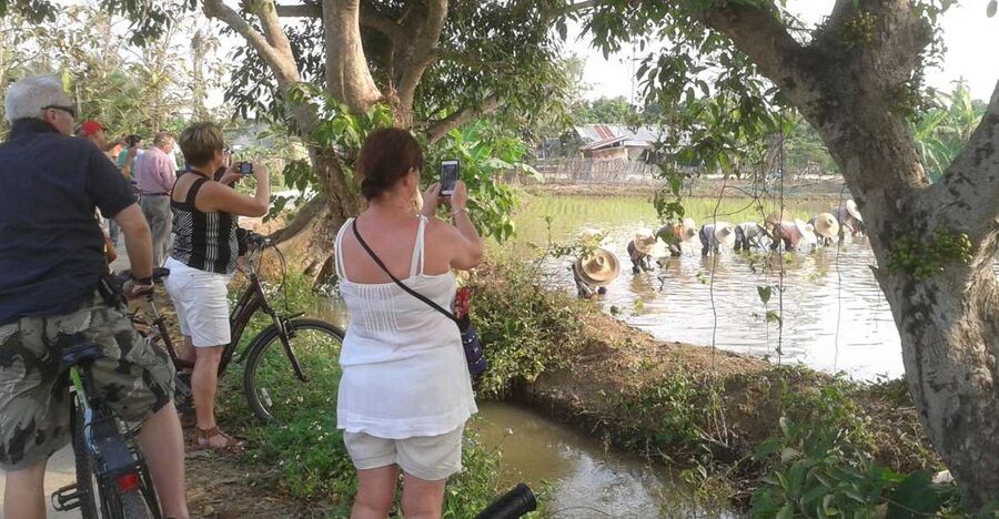 Colors of Chiang Mai Guided Bicycle Tour - Starting Out On Quiet Roads And Green Lanes
