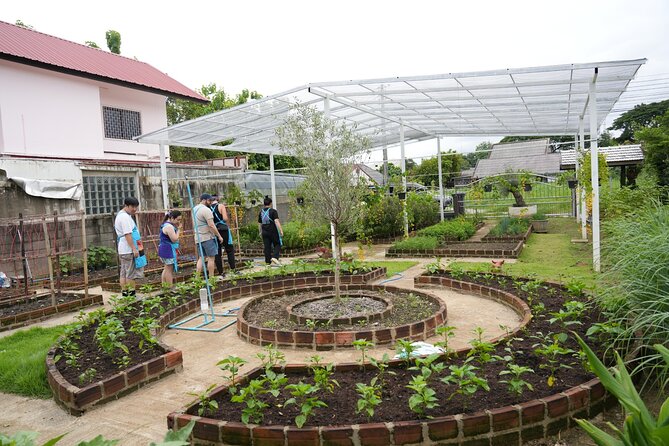 Cooking Class with Organic Farm in Chiang Mai at Mama Noi - A four-hour introduction to Thai cooking