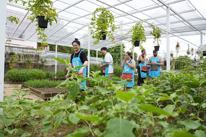 Cooking Class with Organic Farm in Chiang Mai at Mama Noi - Hotel pickup makes the morning simple