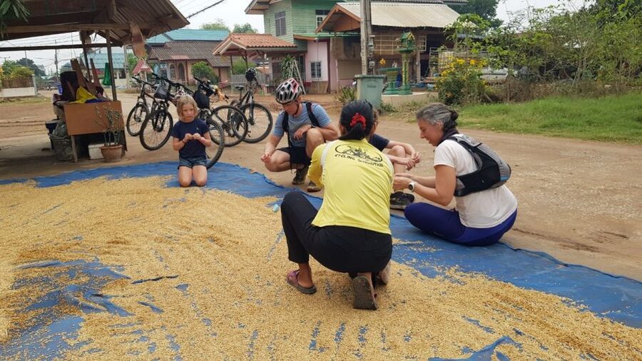 Cycling Sukhothai Full Day Countryside Tour - Market visits and a possible school stop