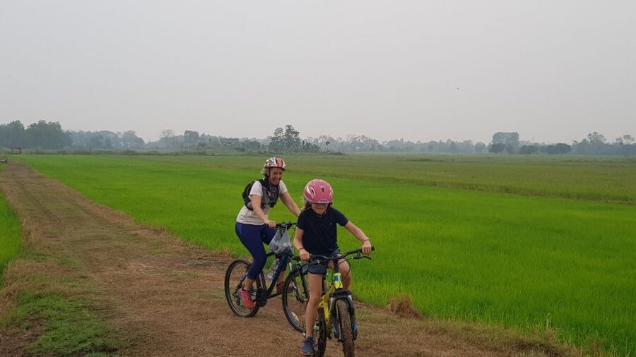 Cycling Sukhothai Full Day Countryside Tour - Lunch, snacks, and what the $38 price covers