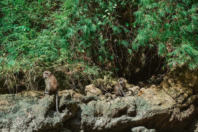 Day Trip to James Bond (Canoeing & Kayaking Islands & Lunch) - How the crew shapes the day