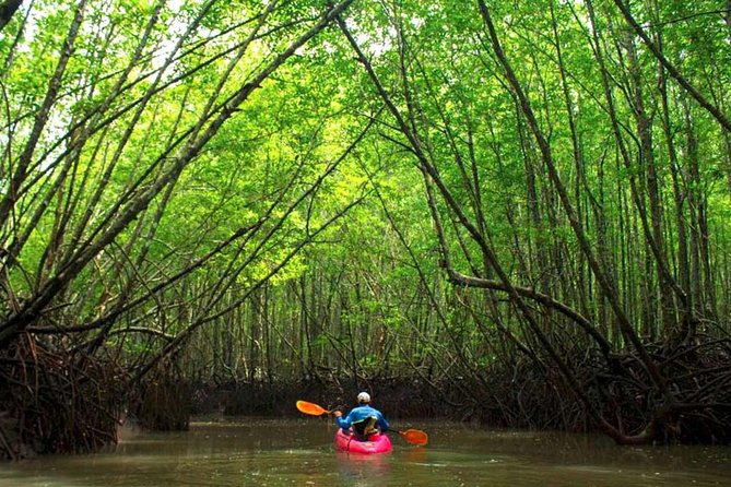 Deep Mangrove and Canyon Kayak Tour in Krabi - Key points before you book