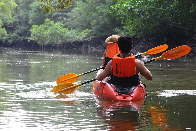 Deep Mangrove and Canyon Kayak Tour in Krabi - Is $42.35 good value?