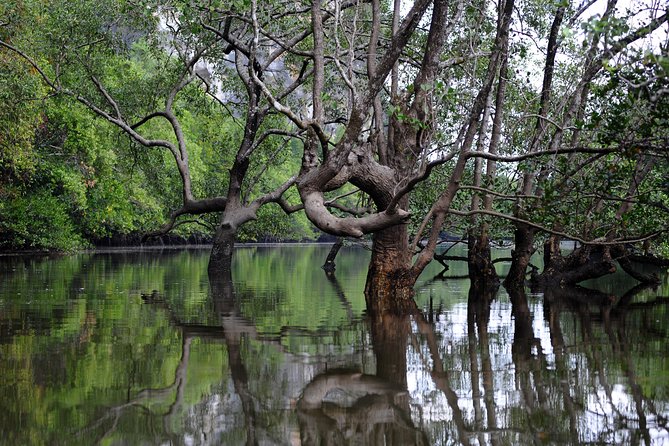 Deep Mangrove and Canyon Kayak Tour in Krabi - Who should book this kayaking tour?