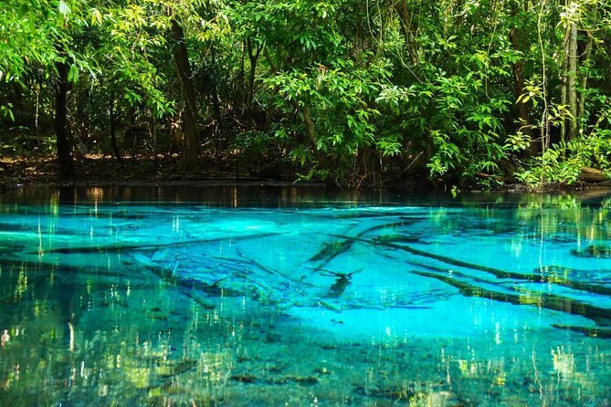 Discover Krabi - Emerald Pool, Hot Springs & Tiger Cave Temple - What the $37.50 price really covers