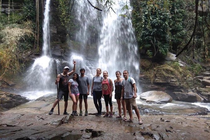 Doi Inthanon Day Trip:Twin Pagodas,Soft Hiking,Coffee Plantation - Kew Mae Pan is the day’s active center